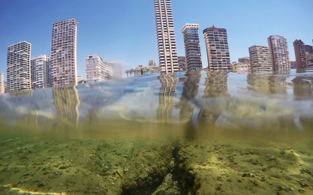 A sea level rise perspective on a city